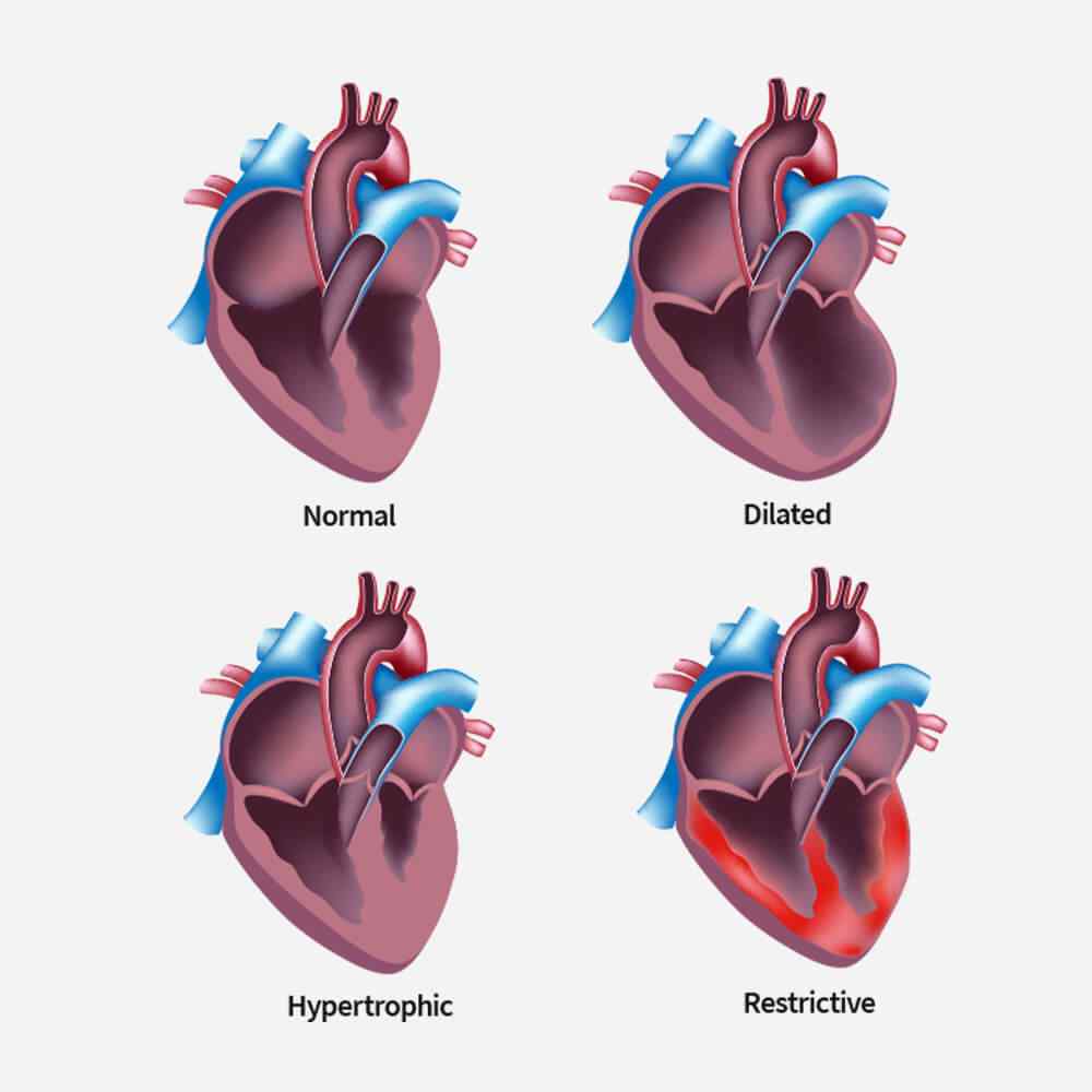 single_service_02 https://www.reypharmacy.co.uk/wp-content/uploads/2021/09/single_service_02.jpg